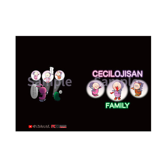 【せしるおじさん 】クリアファイル 2種類セット